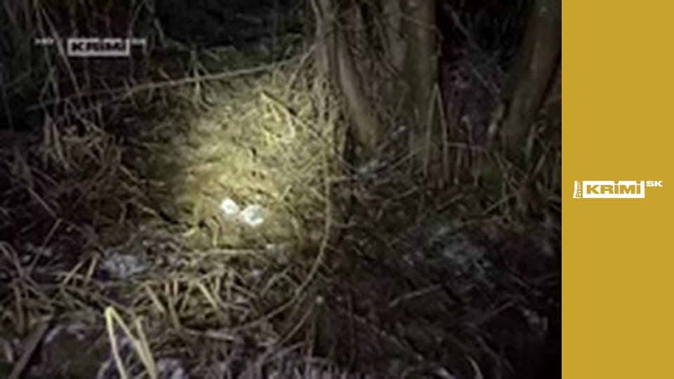 Nočné dobrodružstvo