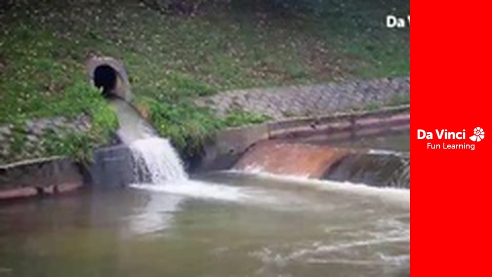 eXplorare Planeta fantastică - Case pentru animale