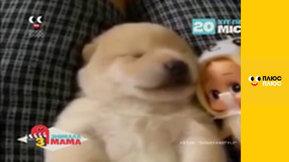 Знімала мама