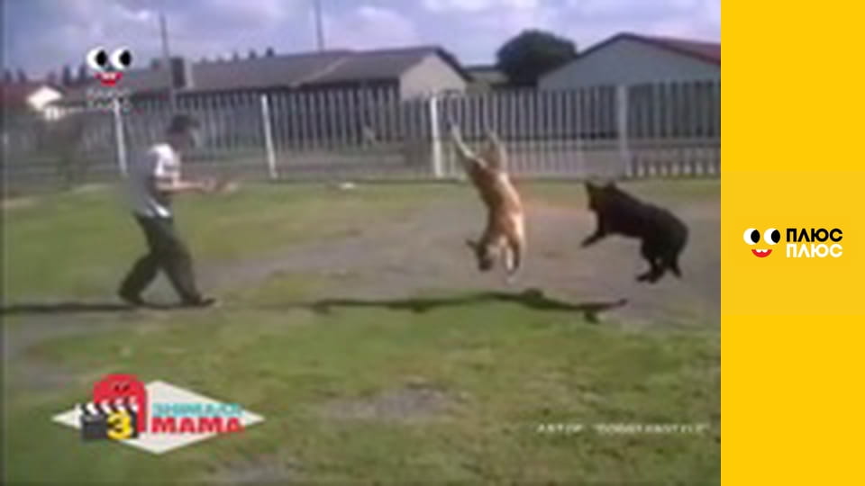 Знімала мама