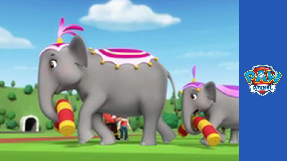 Paw Patrol Season 1 Episode 7