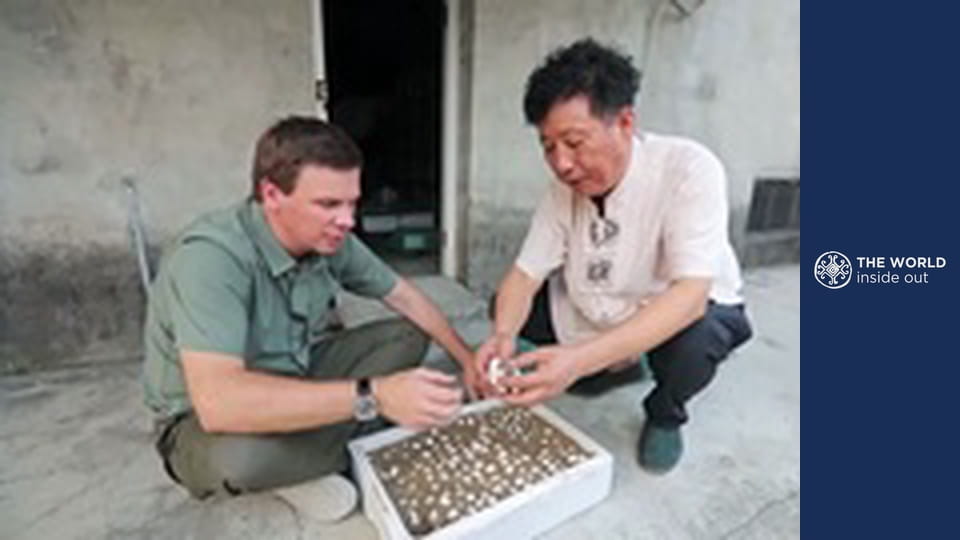 What’s the secret to chinese health. China.