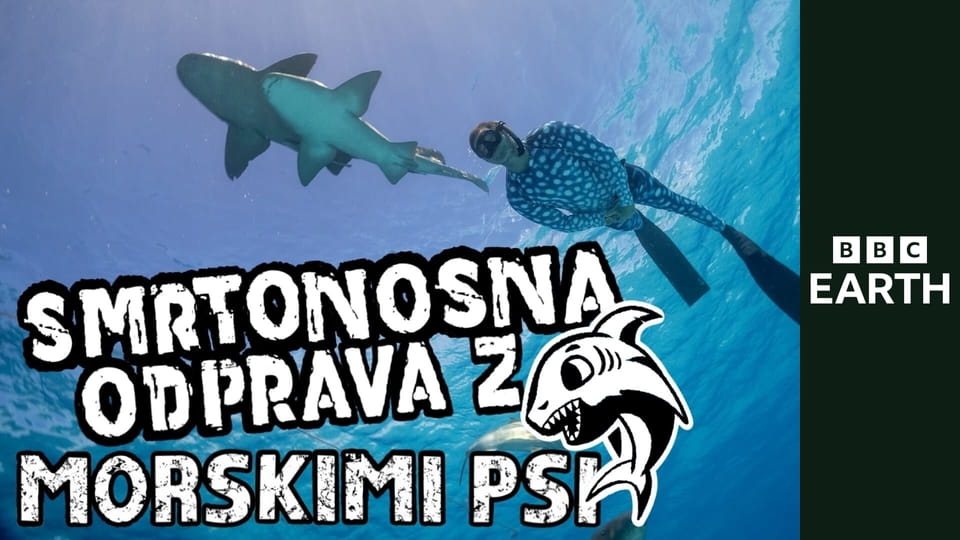 Zabójcza misja: rekin S1E2