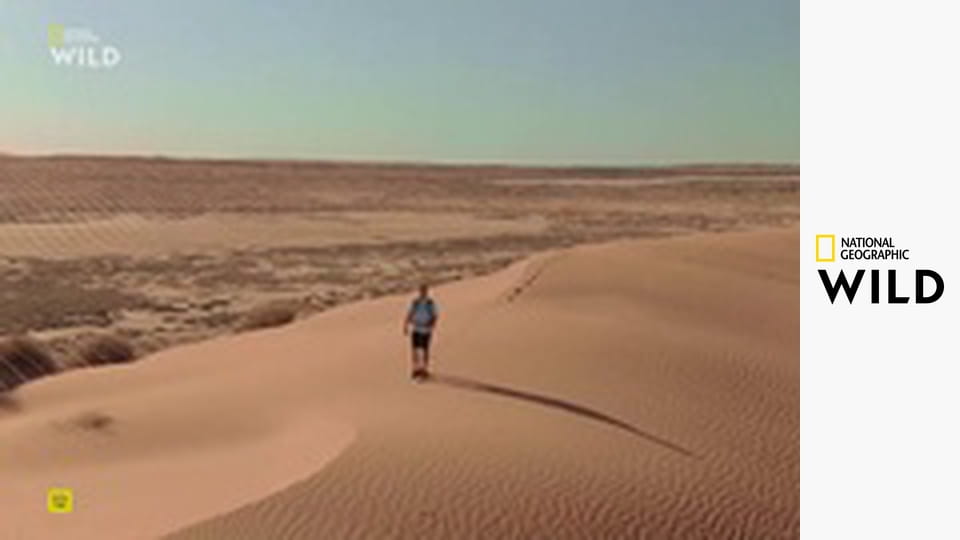 Построенный, чтобы выжить S1E7