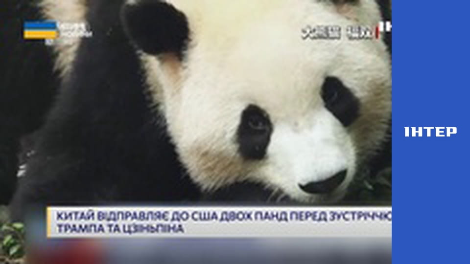 "Єдині новини". Телемарафон.