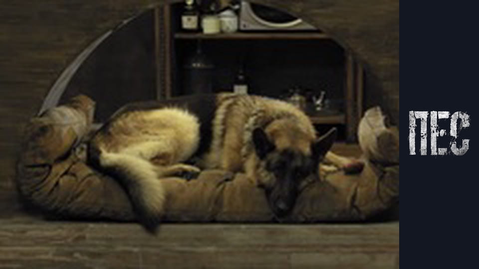 Dog, Season 1, Episode 2