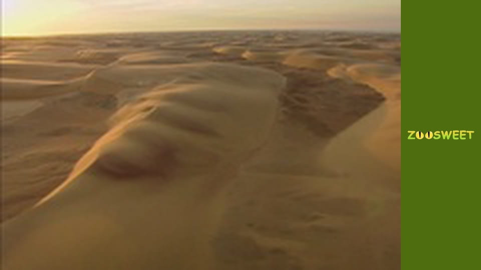 Let's go Wild, Episode 18