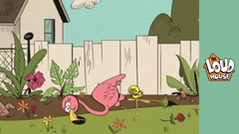 V hlučném domě 4. série, 9. díl