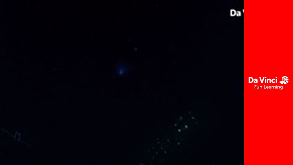 Know it All - How do Fish Glow in the Dark?