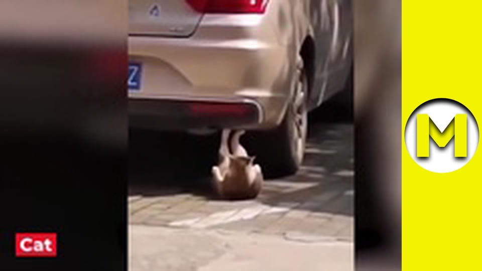 Max TV - season 1 - episode 23