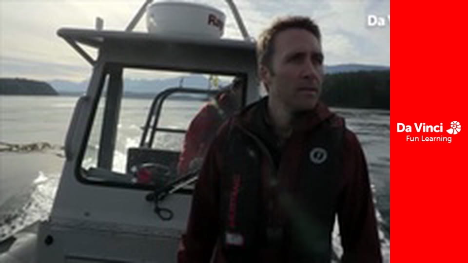 Projekt eksploracja: bajeczna planeta - Oceaniczne drapieżniki alfa