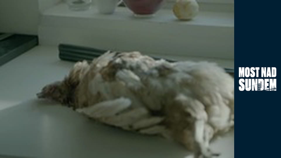 Most nad Sundem Sezon 2 Odcinek 7