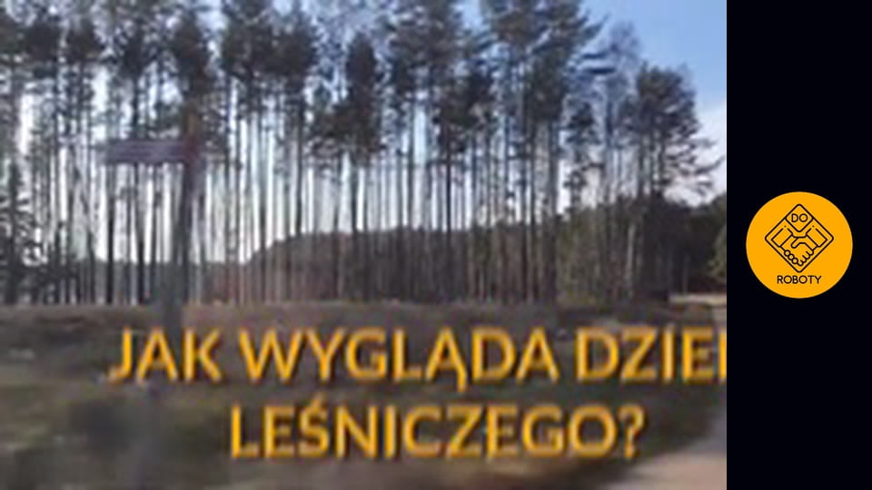 Wycinanie lasów i sadzenie drzew. Co robi leśniczy?