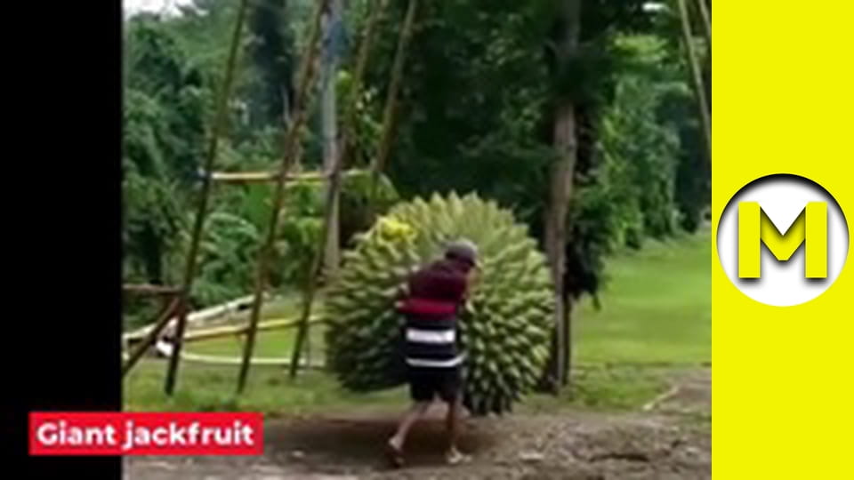 Max TV - season 1 - episode 31