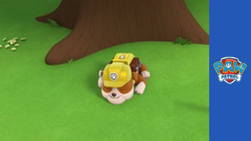 Paw Patrol Season 1 Episode 23