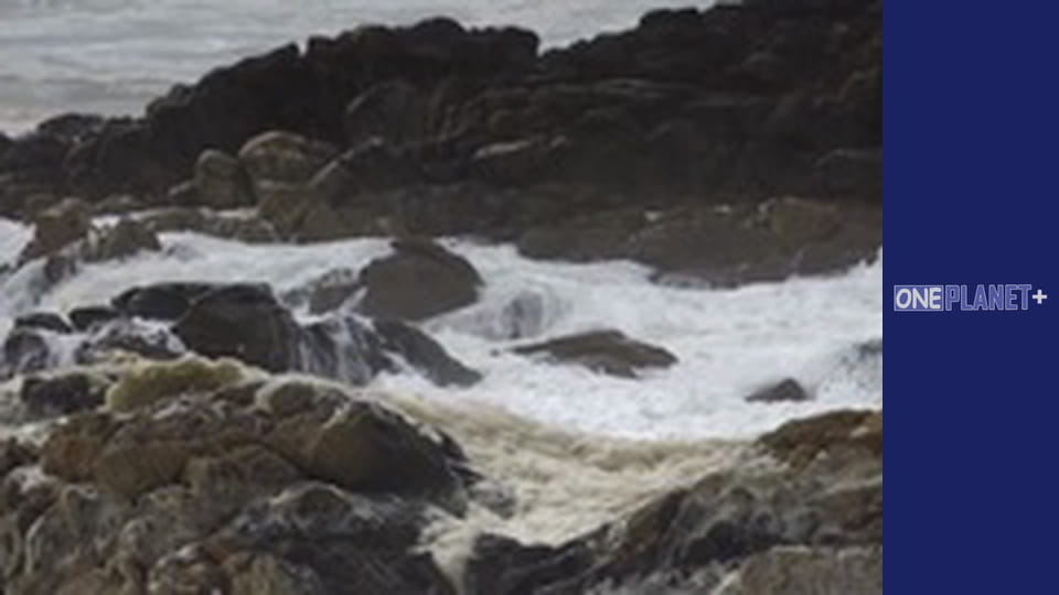 Искусство Пространства. - cерия 6