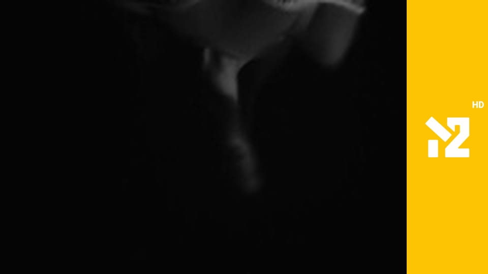 Хіти Non-Stop M2