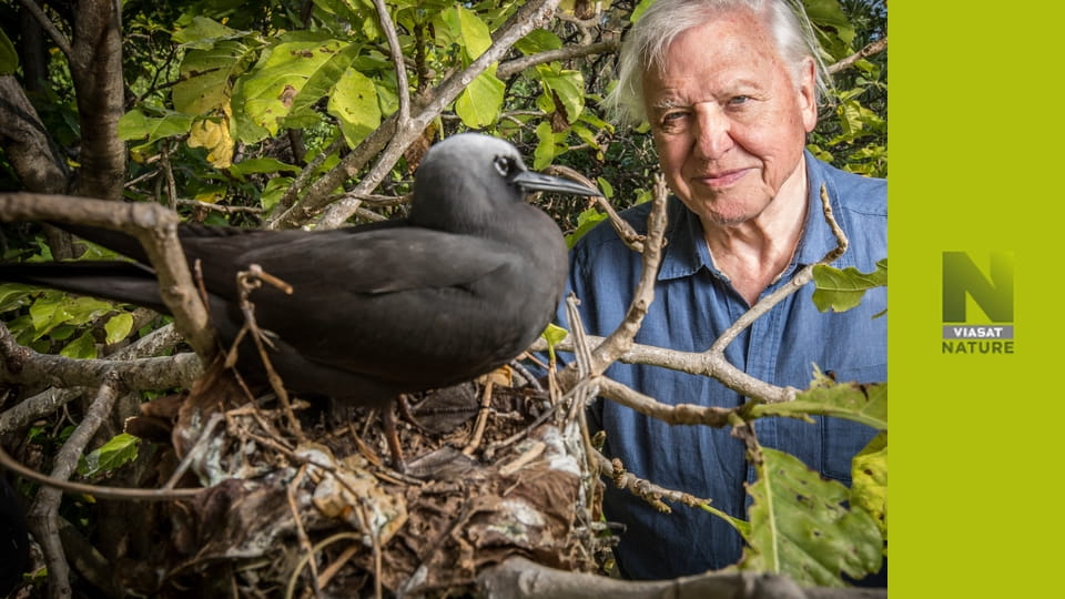 Глобальні пригоди Аттенборо S1E2 - Рідна планета