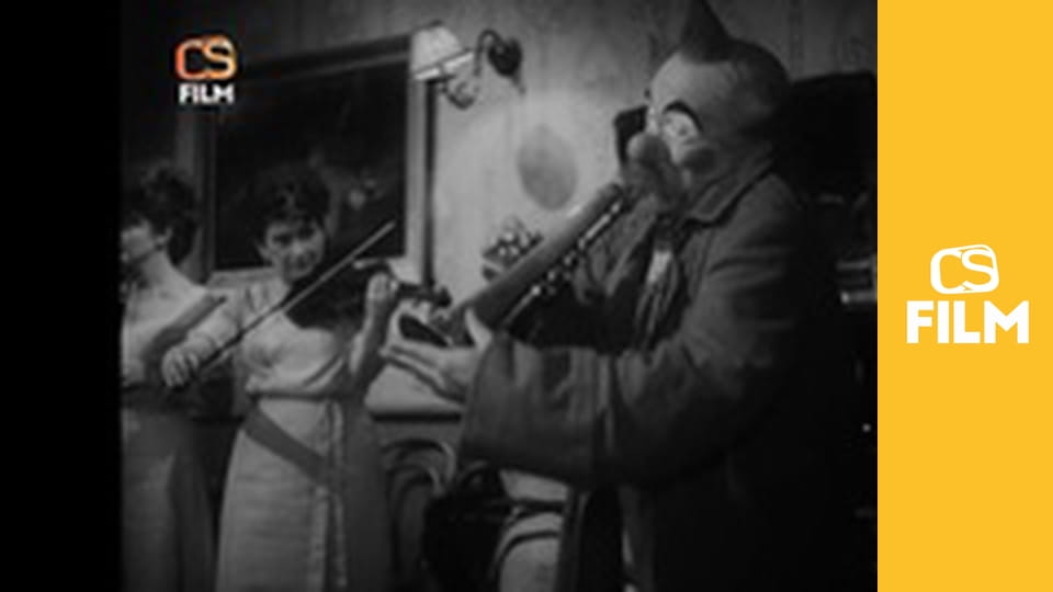 Hvězda zvaná Pelyněk