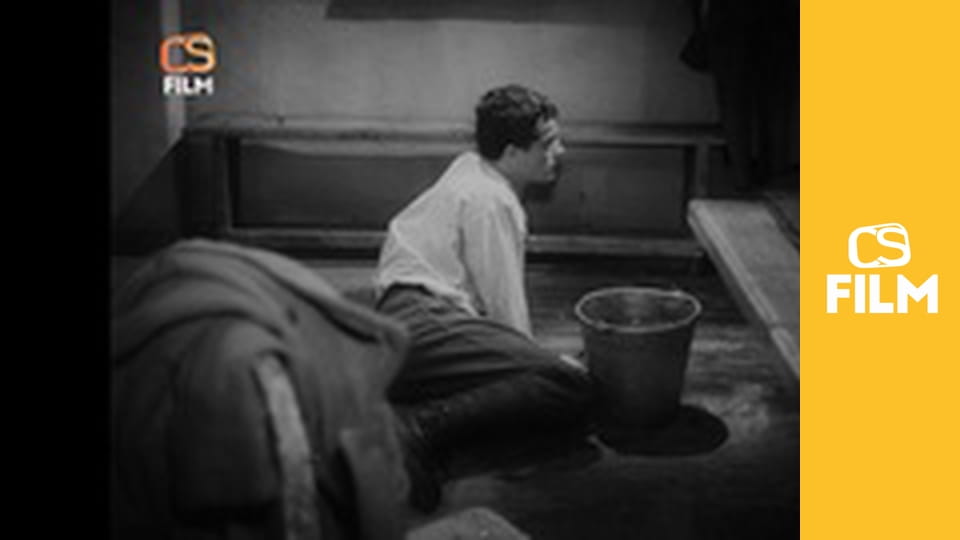 Hvězda zvaná Pelyněk