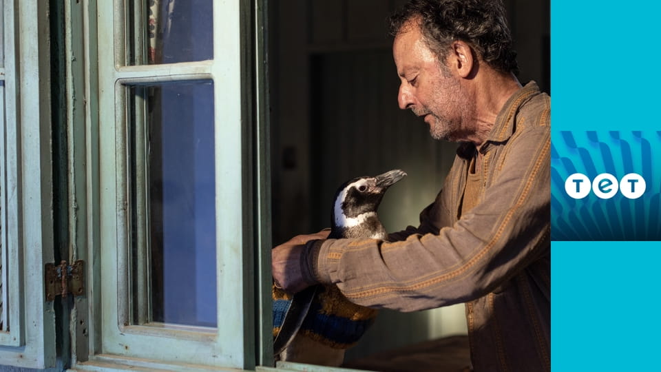 Мій друг пінгвін