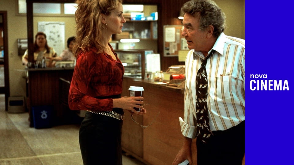 Sledovat Erin Brockovich online