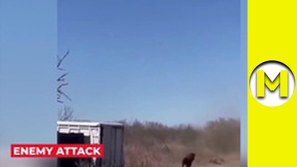 Max TV - season 1 - episode 65