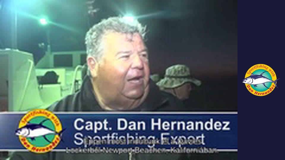 Freelance - Twilight