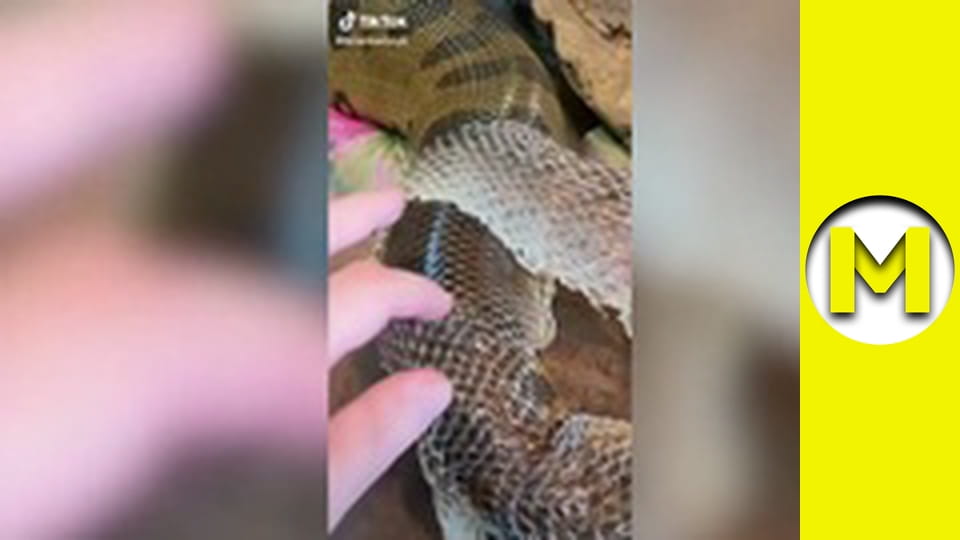 TOP (Max TV) - season 3 - episode 23