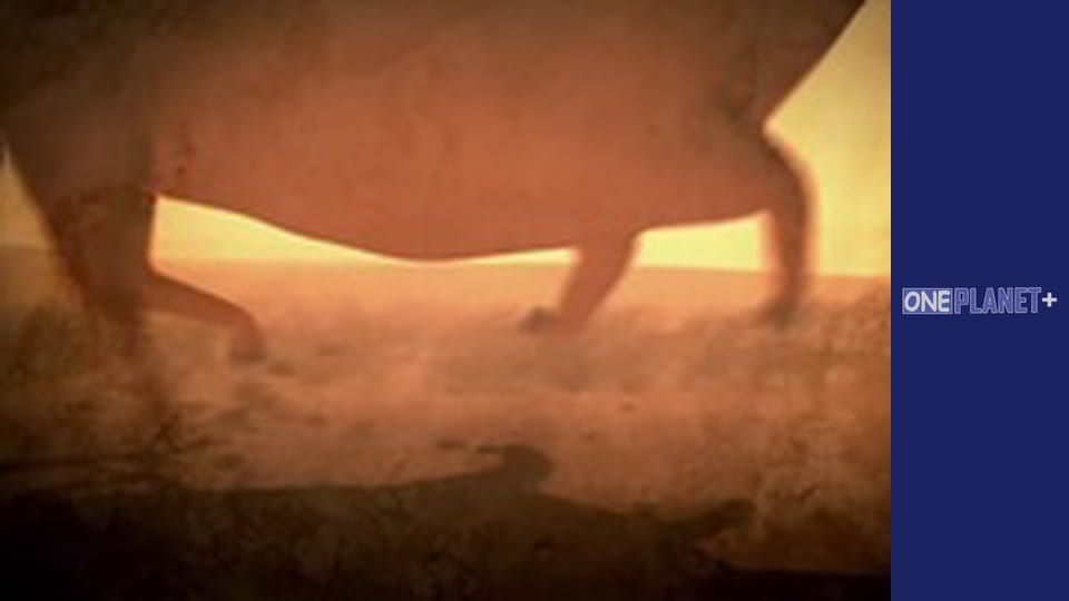 Unlocking the Past, Episode 3