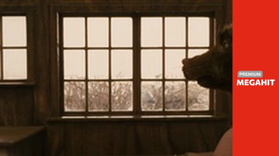 Fantastický pán Lišiak