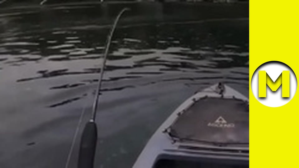 Max TV - season 2 - episode 8