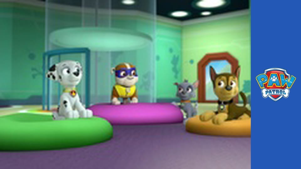 Sledovať Labková patrola, 1. séria, 19. časť online