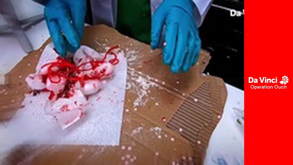 Operation Ouch! - Do Try This at Home - Invisible Ink