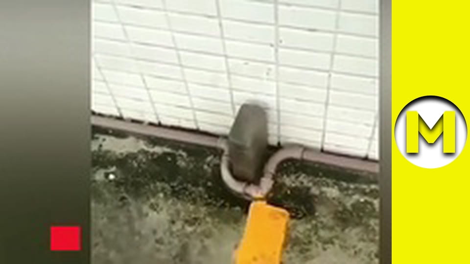 Max TV - season 1 - episode 22