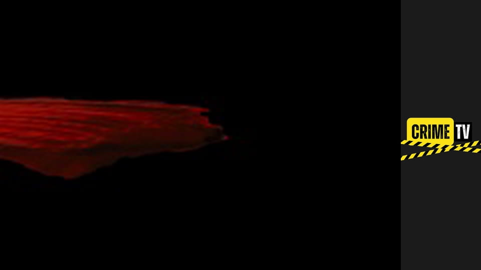 WOLF OF WALL STREET, THE