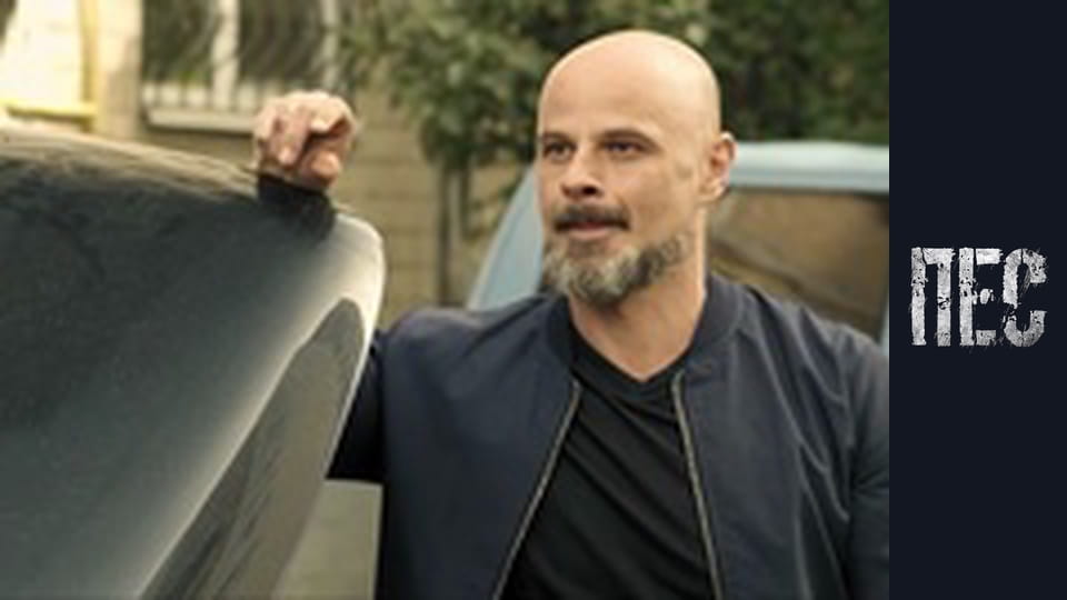 Пес, Сезон 3, Серія 16