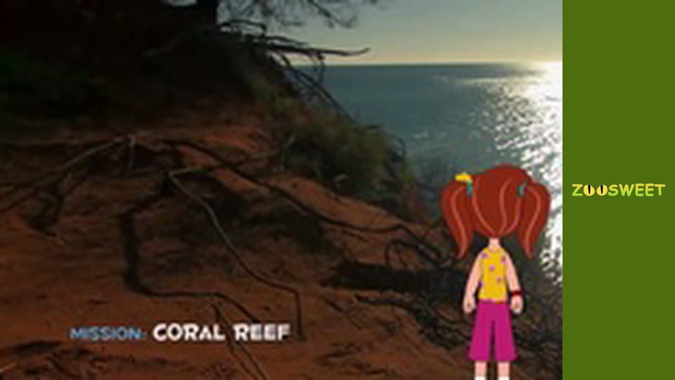 My friends are animals. Underwater mission - episode 17