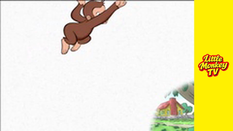 Małpka maluje obraz