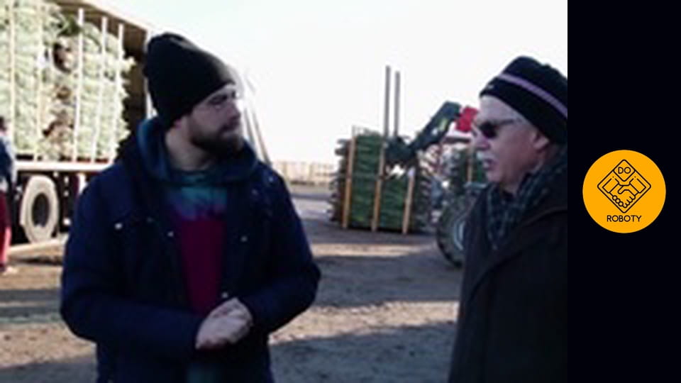 Praca na plantacji choinek bożonarodzeniowych ? *Jak długo rośnie choinka?*