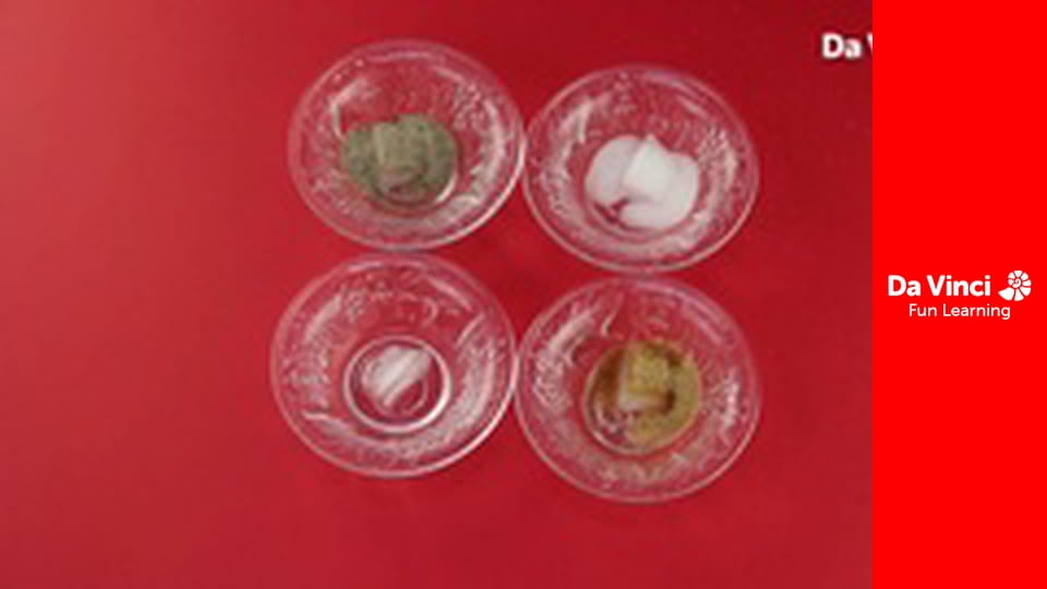 Sprytna nauka - Wyścig topnienia lodu