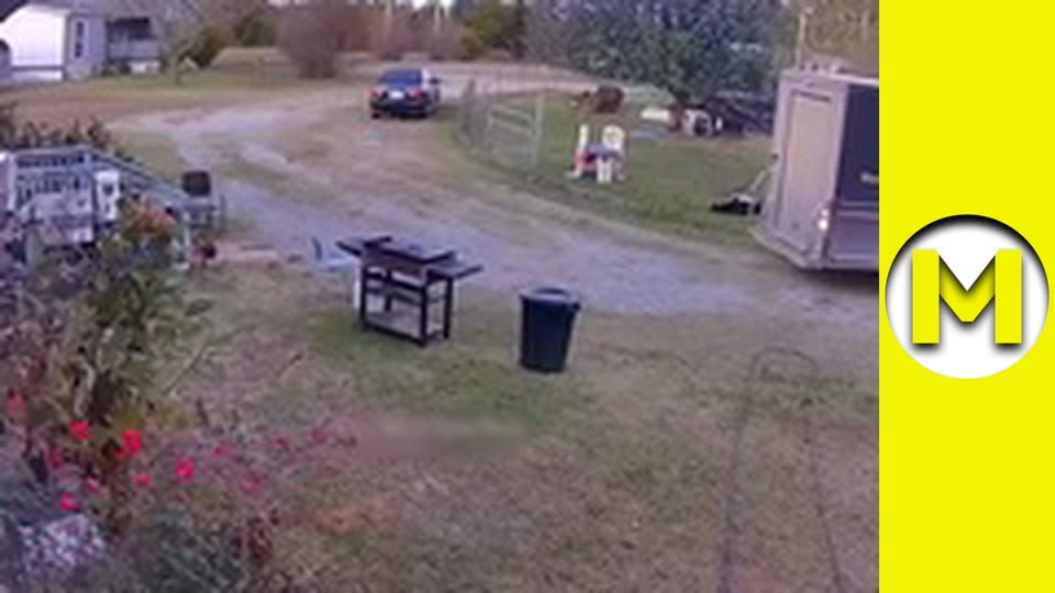 TOP (Max TV) - season 3 - episode 17