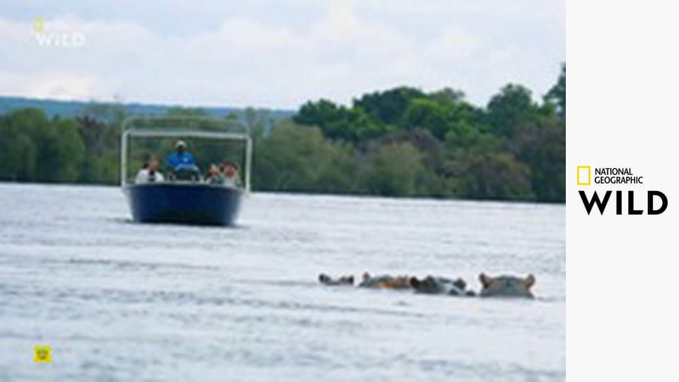 Кто-то меня укусил S1E4 - Если она учует, что я жив