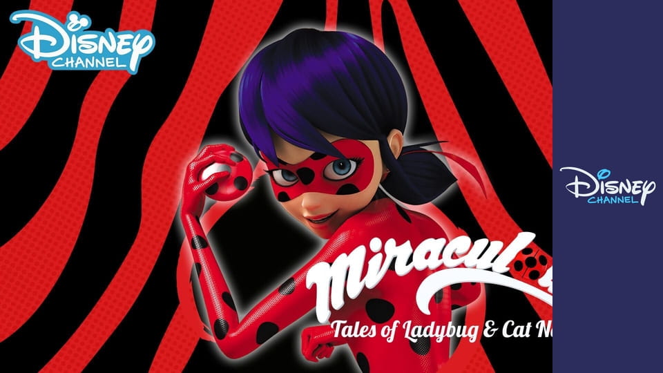 Kouzelná Beruška a Černý kocour E140