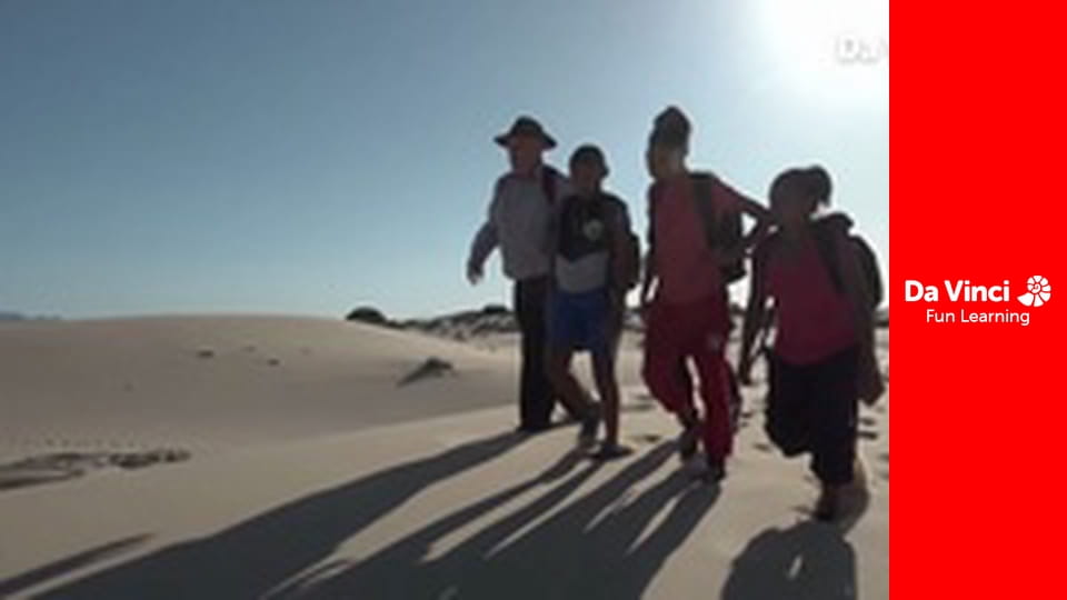 Siyaya: najdzikszy przylądek - Ptasia Wyspa przy Lambert's Bay - ptasie rządy