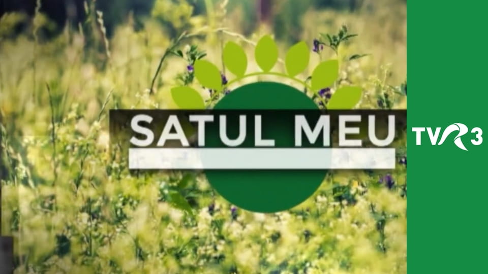 Satul meu