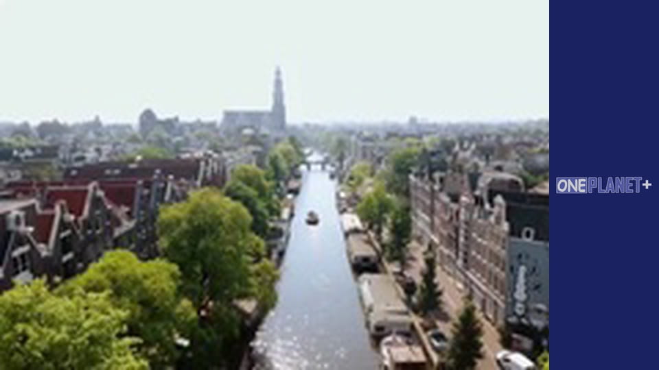 With my own eyes. - episode 8