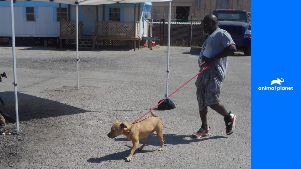 Pitbulli a prepustení trestanci S10E15 - Poklad, nie odpad