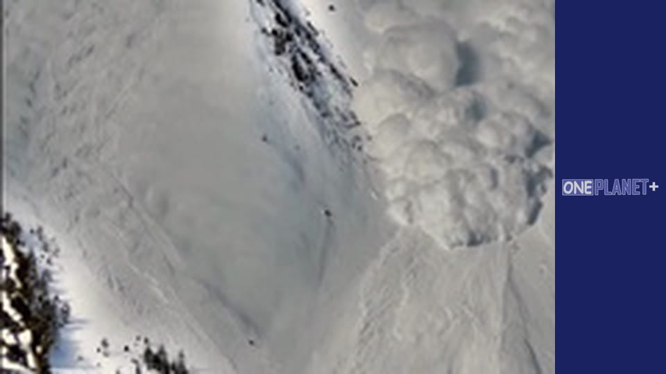 In search of knowledge. - episode 23