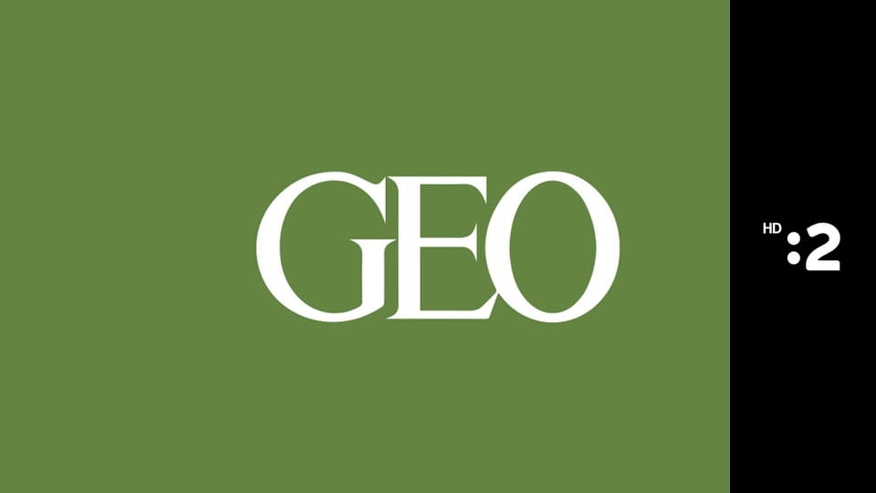 360° okolo sveta E7 - Istanbul, mesto mačiek